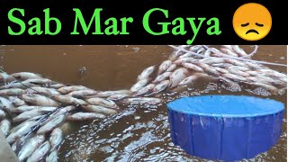 Biofloc fish farming  SAB mar Gaya 😭 [upl. by Asyle]