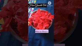 Homemade Hibiscus 🌺 hair oil Hair oil for long hair [upl. by Raama71]