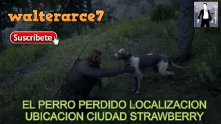 EL PERRO PERDIDO LOCALIZACION UBICACION CIUDAD STRAWBERRY Red Dead Redemption 2 GAMEPLAY PS4 🔫 🔪 [upl. by Damian]