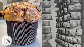 Il Panettone la ricetta milanese originale della Pasticceria Besuschio dal 1845 [upl. by Idnem]