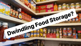 Pantry Tour  Family of 10  Food Storage [upl. by Leirbaj931]