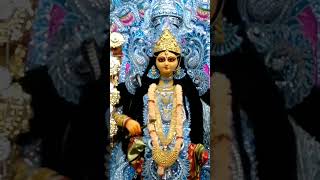 Jagadhatri puja in kolkata jagadhatripuja jagadhatrithakur [upl. by Suirad]