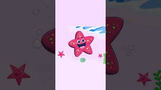 Starfish । Sea Animals । Ocean Animals । Educational Video for kids [upl. by Amuwkuhc124]