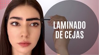 Laminado de cejas  Planchado de cejas En casa súper fácil [upl. by Yarw]