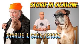 IL CANE PIU FEROCE DEL QUARTIERE LE STORIE DI CICALONE [upl. by Jennings]