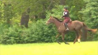 Mary Beth Heiser quotAugust Rushquot Plantation Field Starter Horse Trials XCIH 5152016 [upl. by Festus]