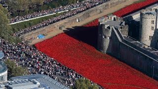 Over 4 million visit poppy exhibition at Tower of London [upl. by Yl320]