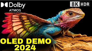 Expert Reveals Top OLED DEMO TEST for TVs with Dolby Atmos for 2024 [upl. by Narot]