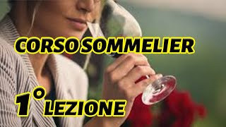 IL SOMMELIER  Corso per sommelier di 1° livello [upl. by Savory214]