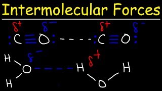 Intermolecular Forces  Hydrogen Bonding Dipole Dipole Interactions  Boiling Point amp Solubility [upl. by Herschel143]