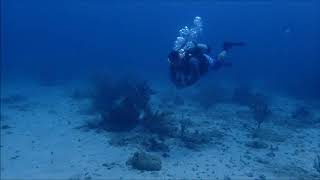 25 abril 2018 buceo en baru y bajos de salmedina con buzos de baru cartagena colombia [upl. by Eugenides538]