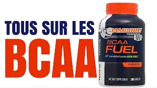 BCAA  COMBIEN  QUAND  RATIO  AVEC QUOI  DOSAGE PRO [upl. by Llehsem312]