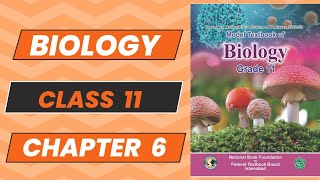 Biology 11 Chapter 6 Prokaryotes Topic 1 and 2 New Book NBF 2024 Complete Explanation FBISE [upl. by Elbas]