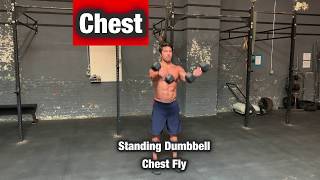 Standing Dumbbell Chest Fly  Chest Pec Exercise Workout [upl. by Nehtan648]