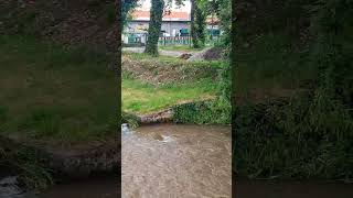 Hochwasser in Thüringen thüringen natur fypage naturwunder Hochwasser fyp [upl. by Kcirneh]