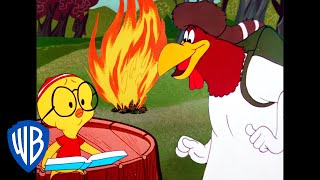 Looney Tunes  Camping with Foghorn Leghorn  Classic Cartoon  WB Kids [upl. by Server515]