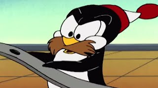 Picolino em Português 🐧Um Pinguim e a Temporada de Gripe 🐧Episódios completos  Desenhos Ani [upl. by Selegna]