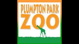 Plumpton Park zoo Full Tour 2023 [upl. by Suellen]