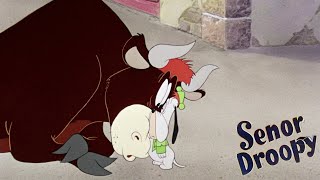 Señor Droopy 1949 MGM Droopy Dog Cartoon Short Film  Review [upl. by Eugenia]