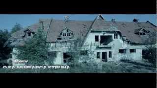 Cosy  O sami mearga struna Official Video 2013 [upl. by Beetner211]