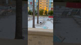 Pool sandy side with lounge chairs at the Cabana bay [upl. by Luby]