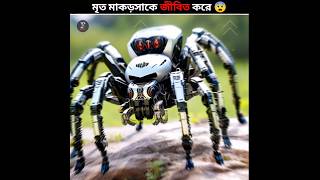 Scientist made robotic spider from dead spider shorts [upl. by Ellemaj]