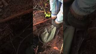 We found a fortune of treasure at the bottom of the hidden island hole 😱  metaldetecting shorts [upl. by Armond341]