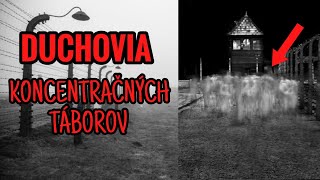 DUCHOVIA KONCENTRAČNÝCH TÁBOROV ✡️ creepystories ghost [upl. by Laehplar]