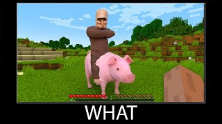 Minecraft wait what meme part 381 realistic Villager and Pig [upl. by Eilrac]