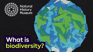 What is biodiversity [upl. by Lesser]