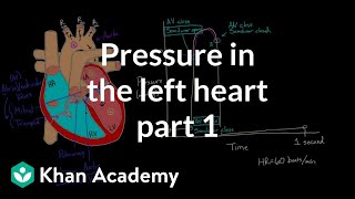 Pressure in the left heart  part 1  Circulatory system physiology  NCLEXRN  Khan Academy [upl. by Arvo]