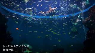 【鴨川シーワールド】トロピカルアイランド「無限の海」 ヒーリング映像 [upl. by Ennairoc]