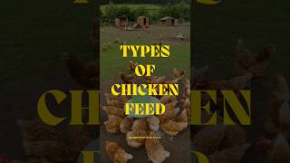 Essential Chicken Feeds for Every Stage sustainablefarming chickenfarming farming [upl. by Eibocaj]