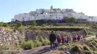 Escursione verso il grande ulivo millenario Ostuni [upl. by Rhody]