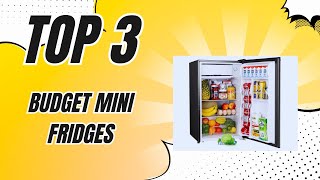 Cool Savings Discover the Top 3 ✅ Budget Mini Fridges ➡ 2024 [upl. by Ahsar]