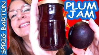 HOW TO MAKE PLUM JAM  PLUM PRESERVES BEST RECIPE Sprig Barton Tutorial [upl. by Aibat]