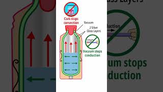 How thermos flask works shorts thermos whatisinside [upl. by Needan]