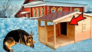 Der Hund ging nicht in die Hütte und schlief im Schnee Der Blick hinein schockierte den Besitzer [upl. by Ain]