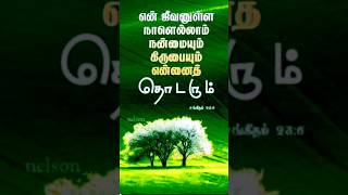 Devakumaratamil Christian song bibleverse shorts youtubeshorts bibleverses jehovahjireh [upl. by Beesley85]