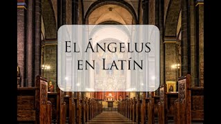 El Angelus en latín Angelus in Latin  Roman Catholic Prayer [upl. by Annadroj642]