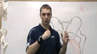 Adductor Magnus Sacroiliac Dysfunction Eric Beard [upl. by Shuler]