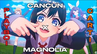 ⚠️EXPLICIT⚠️Cancun X Magnolia Mashup Remix  Playboi Carti SEGA [upl. by Rossie]