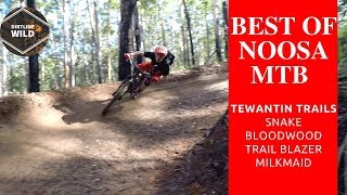 Best of Noosa Mtb Tewantin Sunshine Coast Queensland Australia [upl. by Alyn]