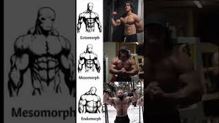 Ectomorph body type [upl. by Allehc]