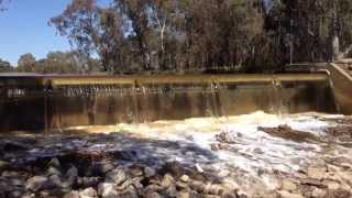 Quambi weir water control gate opened [upl. by Kassab981]