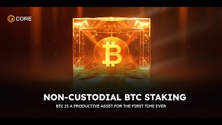 NonCustodial BTC Staking Part 1 How to Stake Stepbystep guide [upl. by Ojiram]