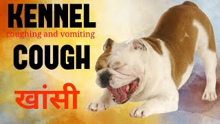 Understanding Kennel Cough Symptoms Treatment and Prevention [upl. by Lina367]