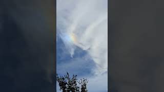 Not even Elon Musk has seen this rare phonomena rare rainbowclouds elonmusk [upl. by Mosa]