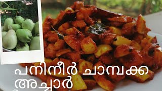 പനിനീർ ചാമ്പക്ക അച്ചാർ l Rose Apple Pickle l Mango Pickle Recipe Kerala l Simple amp Tasty Pickle l [upl. by Hunger]