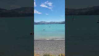 Akaroa Nz [upl. by Akiner]